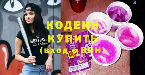 гашик Аркадак