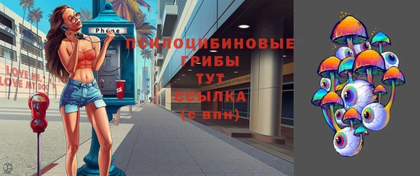 гашик Аркадак