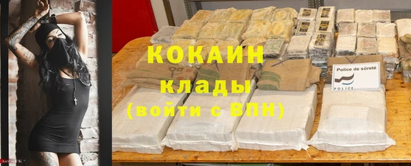 гашик Аркадак