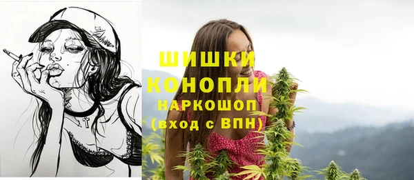 гашик Аркадак