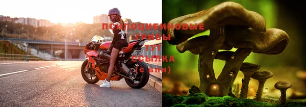 мескалин Армянск